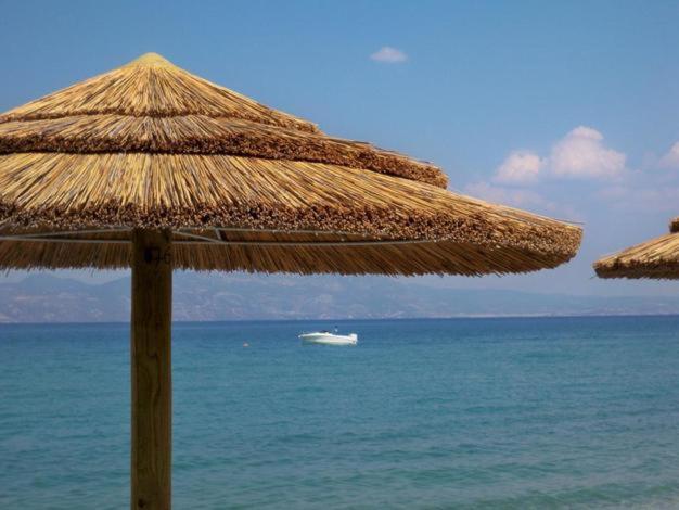 Marzi Beach And Bungalows Kokkonion Exterior photo